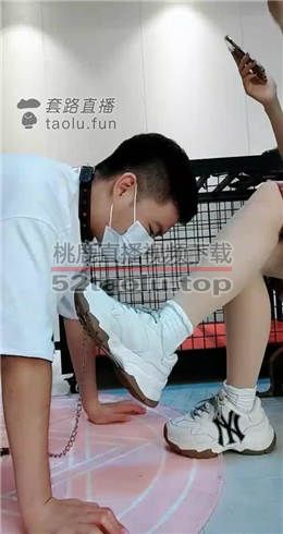 运动鞋羞辱狗狗