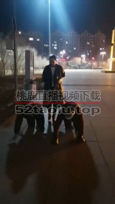 【冷御女王】高贵女王户外溜双狗奴 bf26991