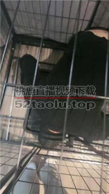 【小雅老师】狗笼圈养犬化绿帽前任【中】 bf38459