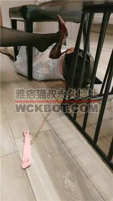 【猫大大】绅士狗迷恋高跟黑丝 JS240426-4