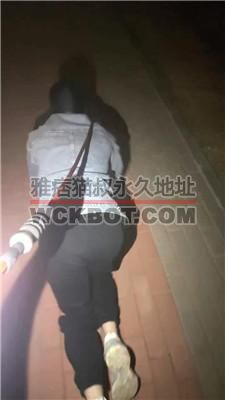 【尤野】户外遛狗公开处刑 JS240514-9