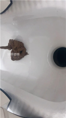 【灵韵】滚进来吃主人黄金    250824-14