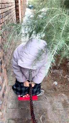 【海海】冰天雪地户外遛狗 JS251226-11