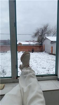 【77夫妻】冰天雪地玩人形犬 JS251103-8